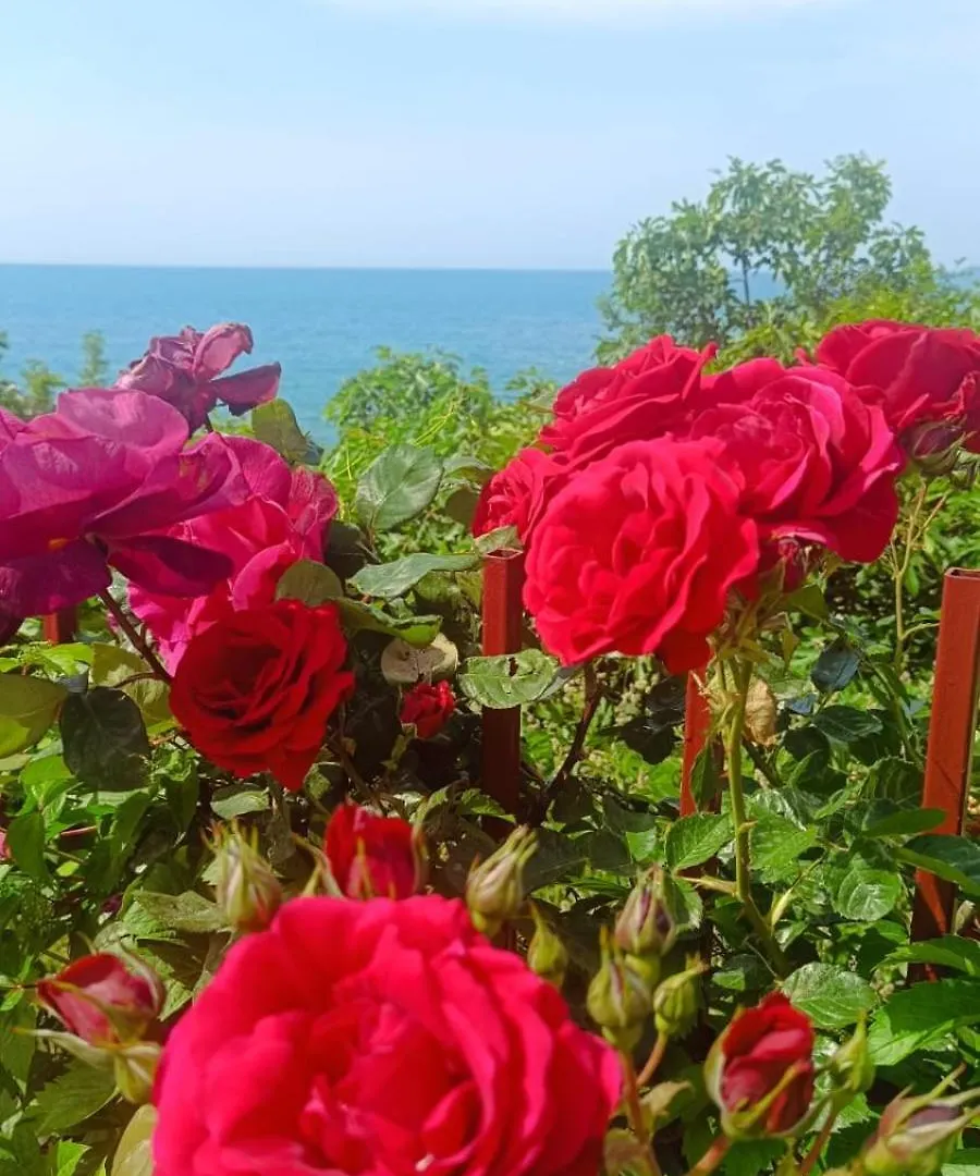 Sea Paradise 2-Room Seafront Apartment in Sveti Vlas Burgas City